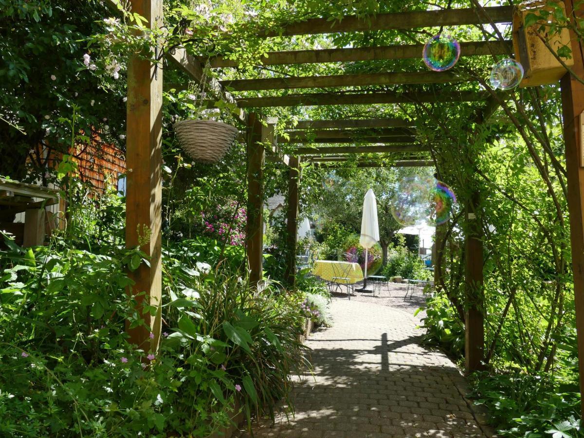 Villa Rosa Trois Epis Dış mekan fotoğraf