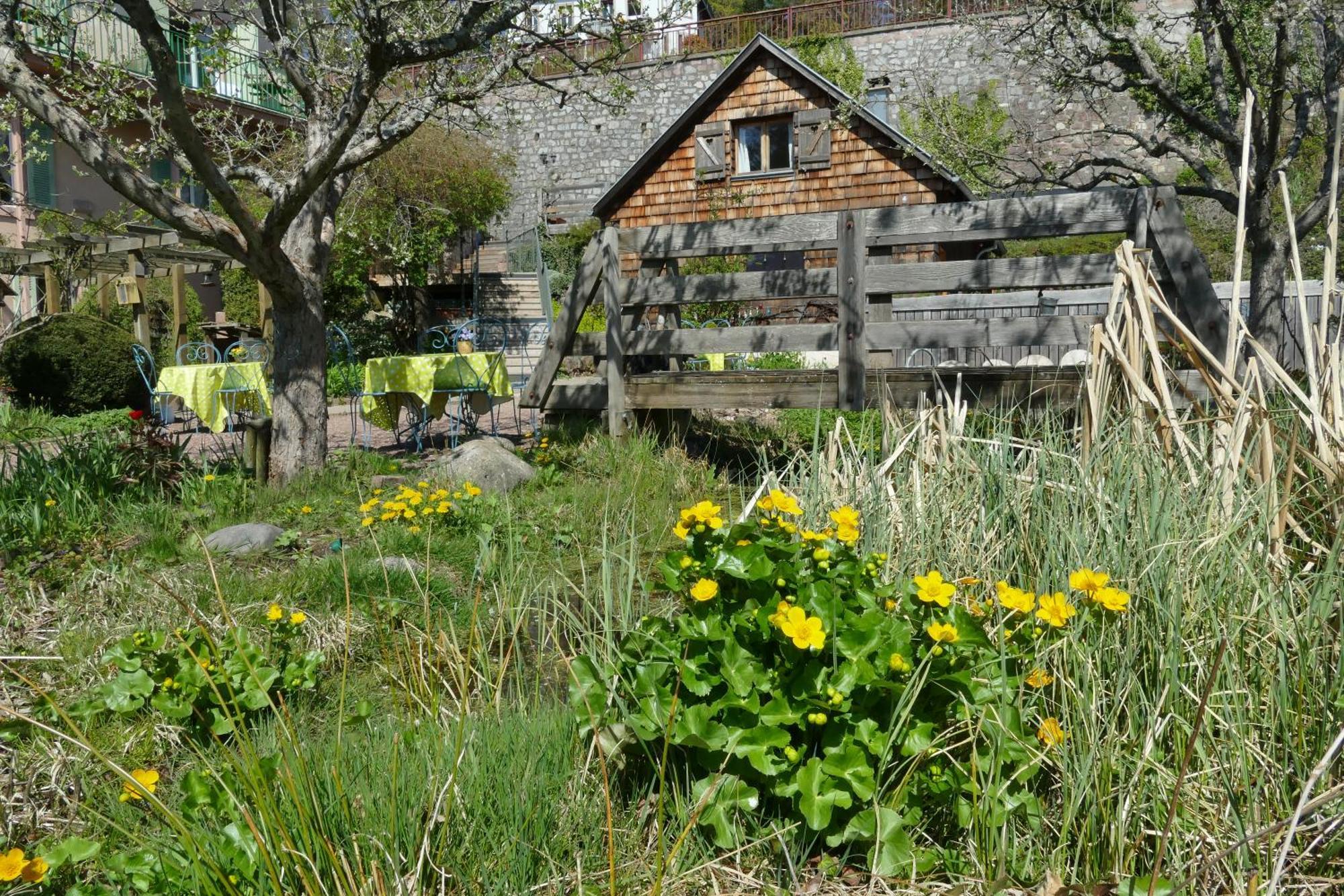 Villa Rosa Trois Epis Dış mekan fotoğraf